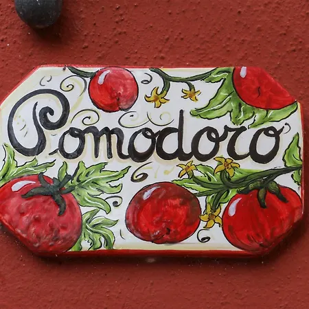 Hill Casa de Férias